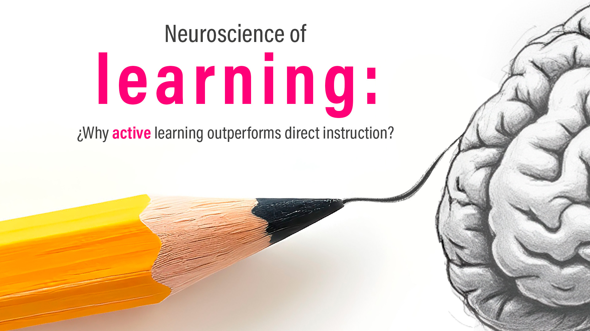 neuroscience of learn