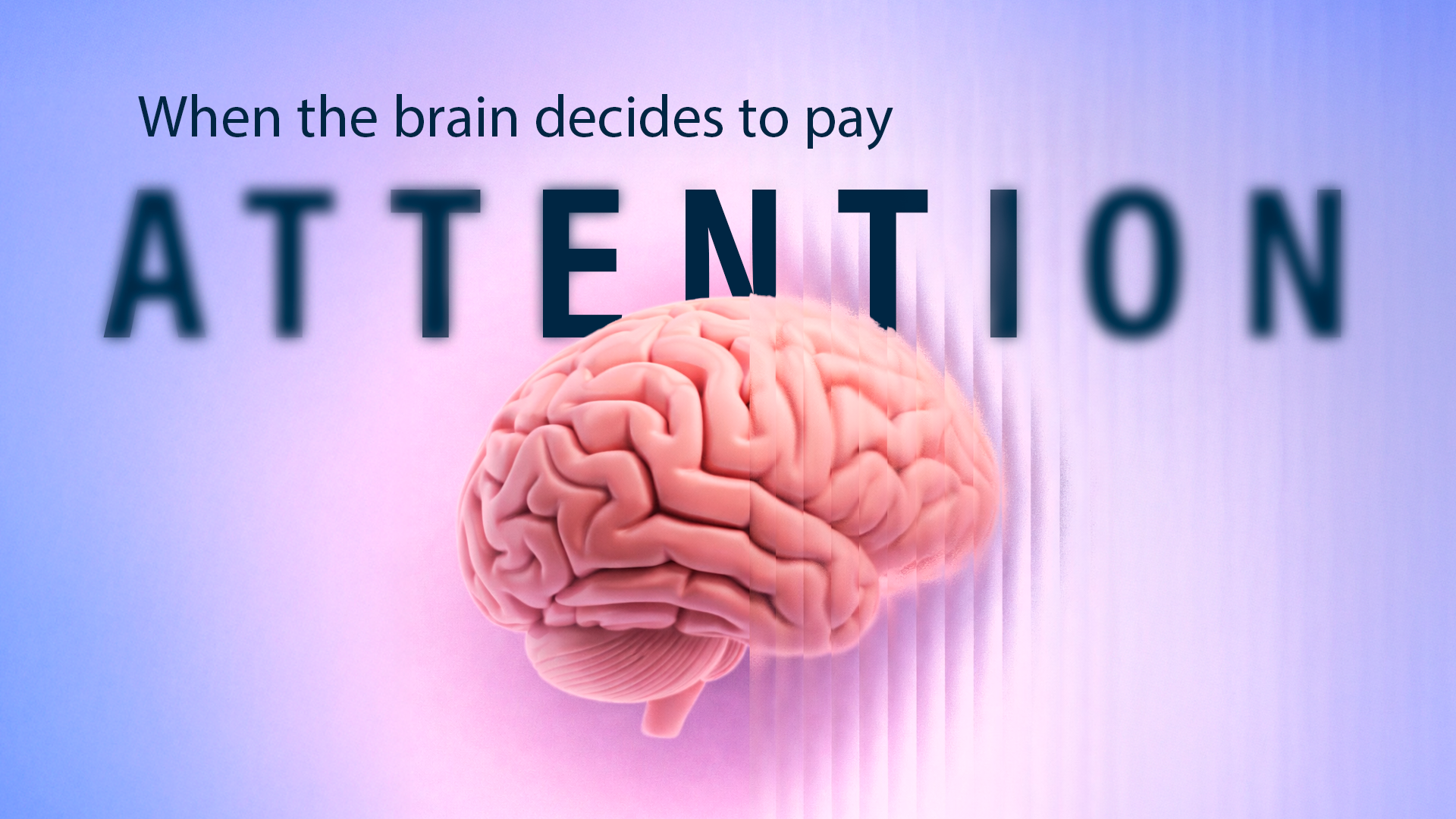The Neuroscience of Personalization: How the Brain Pays Attention