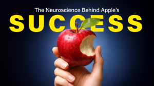 Graphic showing the neuroscience behind Apple's organizational creativity and innovation strategy