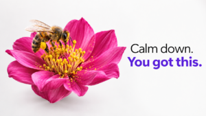 Emotional contagion at work: a bee pollinating a pink flower next to the message "Calm down. You got this."